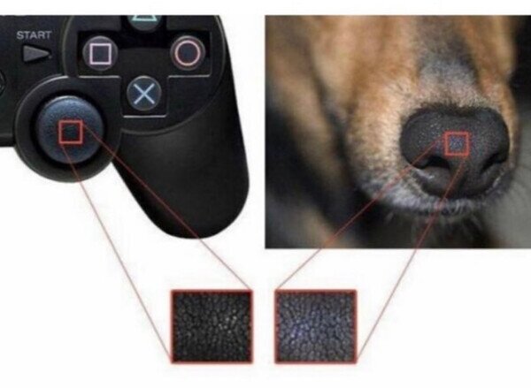 Meme_otros - Parecidos razonables