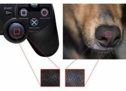 Enlace a Parecidos razonables