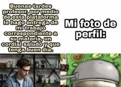 Enlace a Y enviándolo desde el email foIIadorimpacable@gmail.com