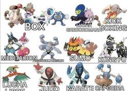 Enlace a Los deportes pokemonizados