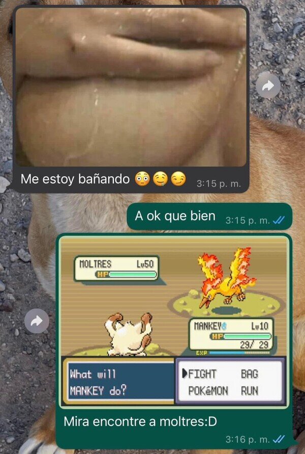 Meme_otros - Aquí no pilla la indirecta