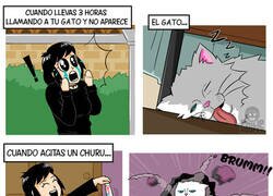 Enlace a Llamada gatuna