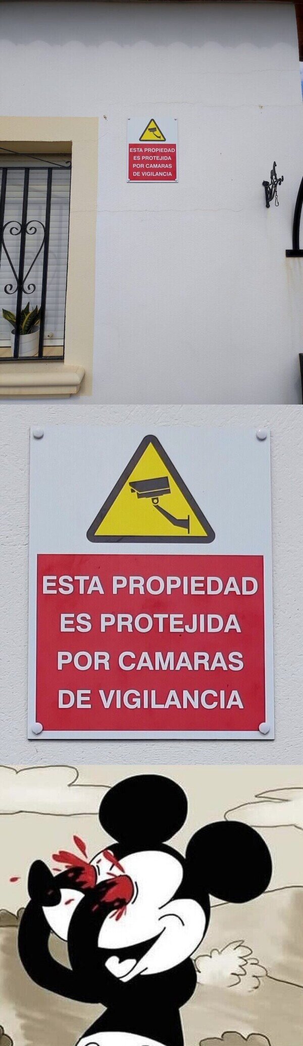 Otros - Pero la RAE no protege esta casa