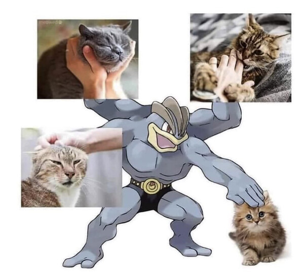 Otros - Cuando llego a una calle llena de gatos