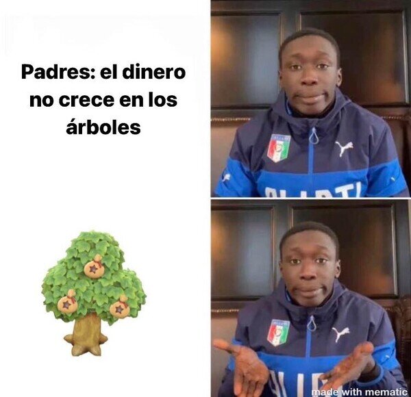 Otros - Enseñanzas de Animal Crossing