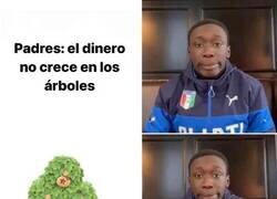 Enlace a Enseñanzas de Animal Crossing