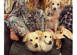 Enlace a Diseñadores que deberían dedicarse a otra cosa