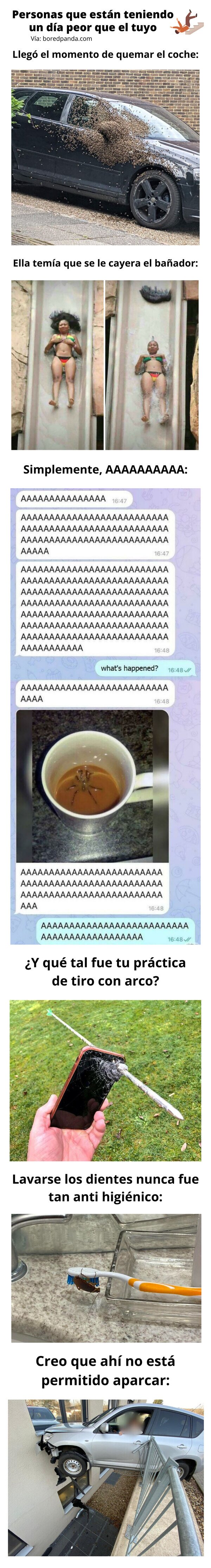 Meme_otros - Personas que están teniendo un día peor que el tuyo