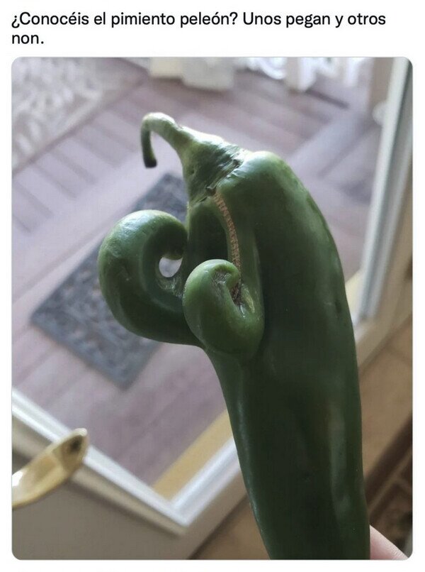 Meme_otros - Creo que busca pelea