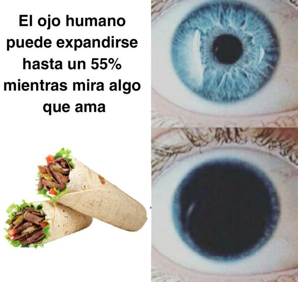 Meme_otros - Amo el kebab