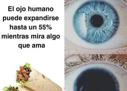 Enlace a Amo el kebab