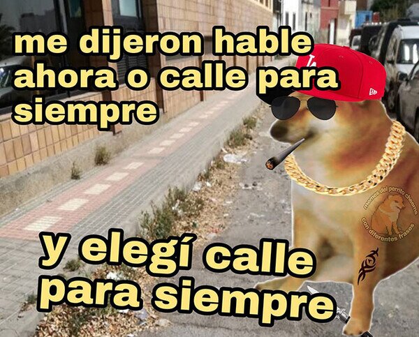 Meme_otros - Te falta calle