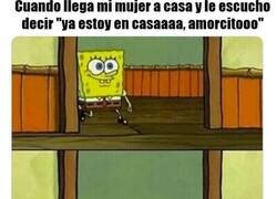 Enlace a Ya me parecía raro...
