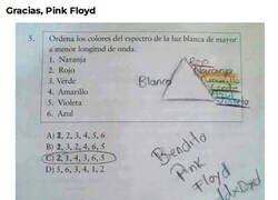 Enlace a Sin su álbum no hubiera sido posible