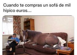 Enlace a La tontería del día