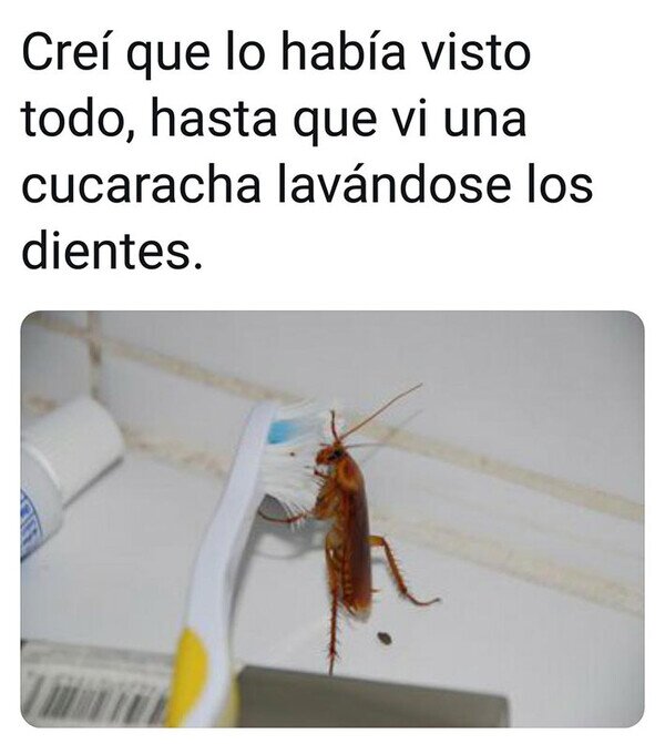 Meme_otros - La cucaracha más higiénica