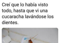 Enlace a La cucaracha más higiénica
