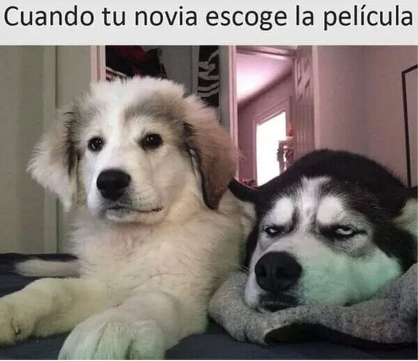 Meme_otros - Nunca llueve a gusto de todos