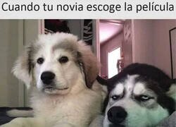 Enlace a Nunca llueve a gusto de todos