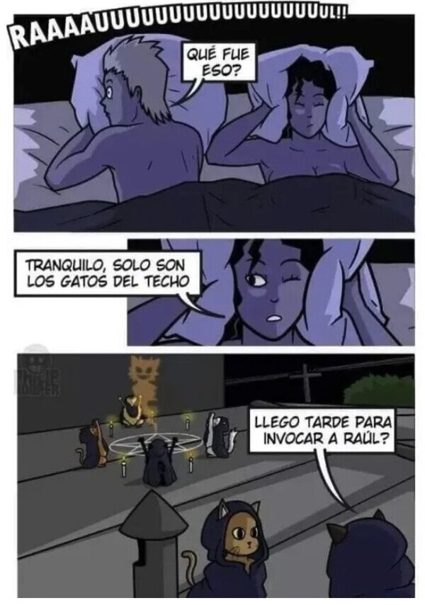 Meme_otros - Gatos invocando a Raúl