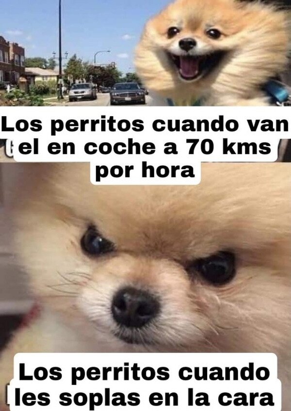 Meme_otros - Lo que les gusta y lo que no