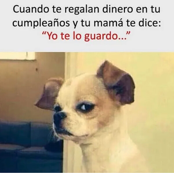 Otros - No me fío ni de mi propia madre