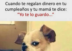 Enlace a No me fío ni de mi propia madre