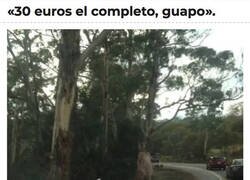 Enlace a Hola, señorita...