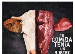 Enlace a No parece muy afectado...