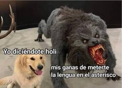 Enlace a Lo que mi timidez esconde