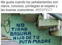 Enlace a Queda claro