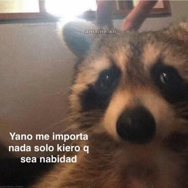 Otros - Mi mood desde que acabó el verano
