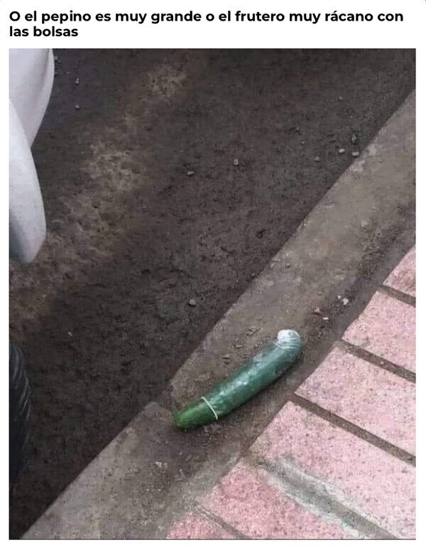Meme_otros - Un pepino salvaje apareció