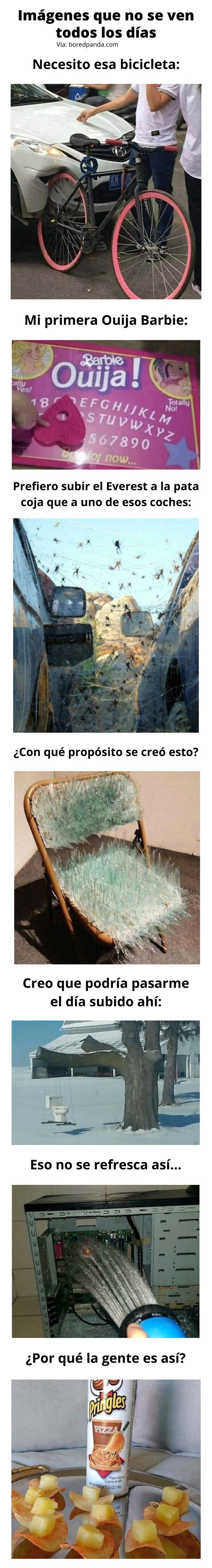 Meme_otros - Imágenes que no se ven todos los días