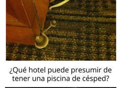 Enlace a Hoteles en los que nadie debería hospedarse nunca