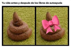 Enlace a Seguirá siendo la misma