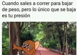 Enlace a Algo ha bajado