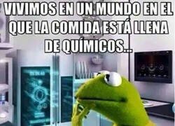 Enlace a El mundo en el que vivimos