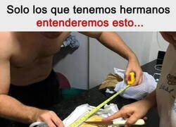 Enlace a Reparto milimétrico