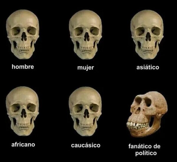 fanático,políticos,calaveras