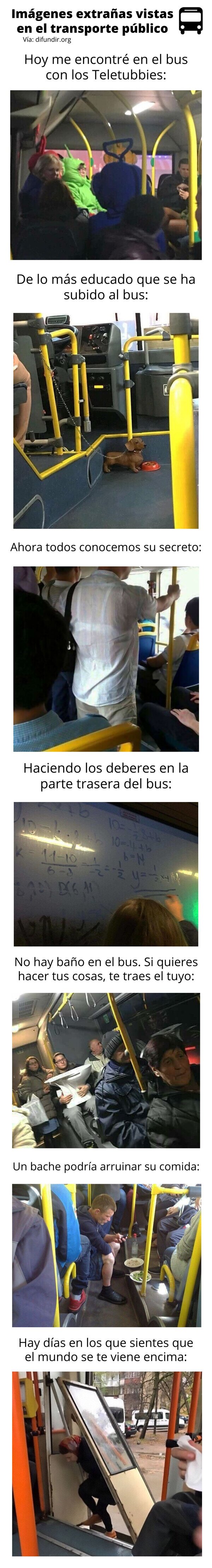 Meme_otros - Imágenes extrañas vistas en el transporte público