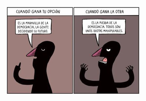 democracia,opinión,votar