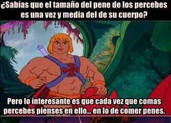 Enlace a Alguno se los está comiendo por docenas, el que pueda pagarlos...