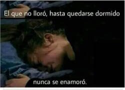 Enlace a ¿Eso era amor?