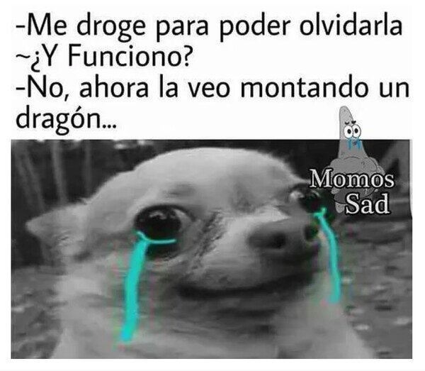 Meme_otros - No funcionó