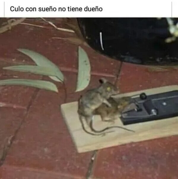 Meme_otros - Aprovechando oportunidades