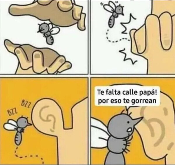 Meme_otros - Un mosquito con mucha calle