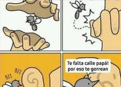 Enlace a Un mosquito con mucha calle