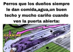 Enlace a Si pudiera elegir...