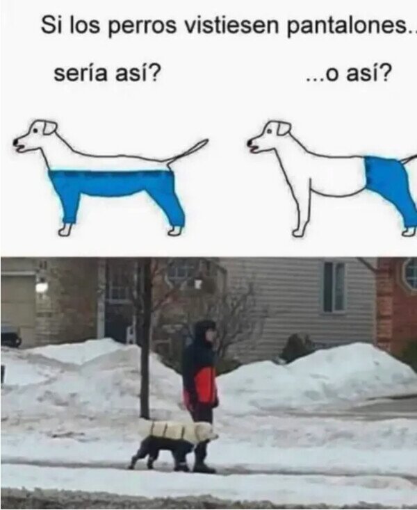 Meme_otros - Por fin alguien resolvió la duda